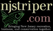 nj striper
